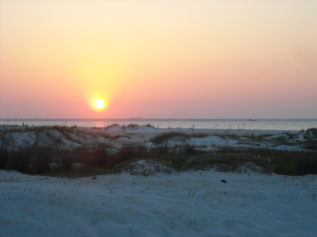 Veterans’ Day 2015: A Watershed&nbsp;Moment