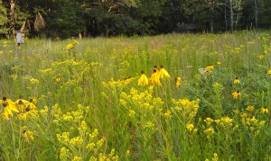 At the Leopold Shack in Baraboo, WS