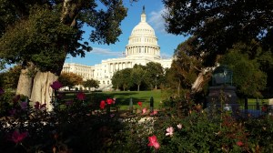 Capital Bldg Daytime