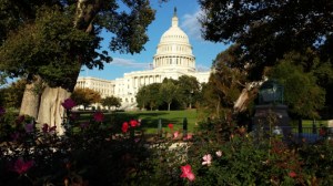 capital-bldg-daytime